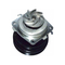 Pompa Air Suku Cadang Mobil Bersertifikat ISO 46444355 Untuk Fiat LANCIA